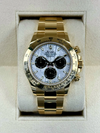 Rolex Daytona (5A+)