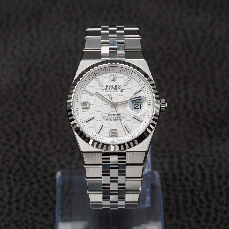 Land-dweller 36mm 127234 (7A+)