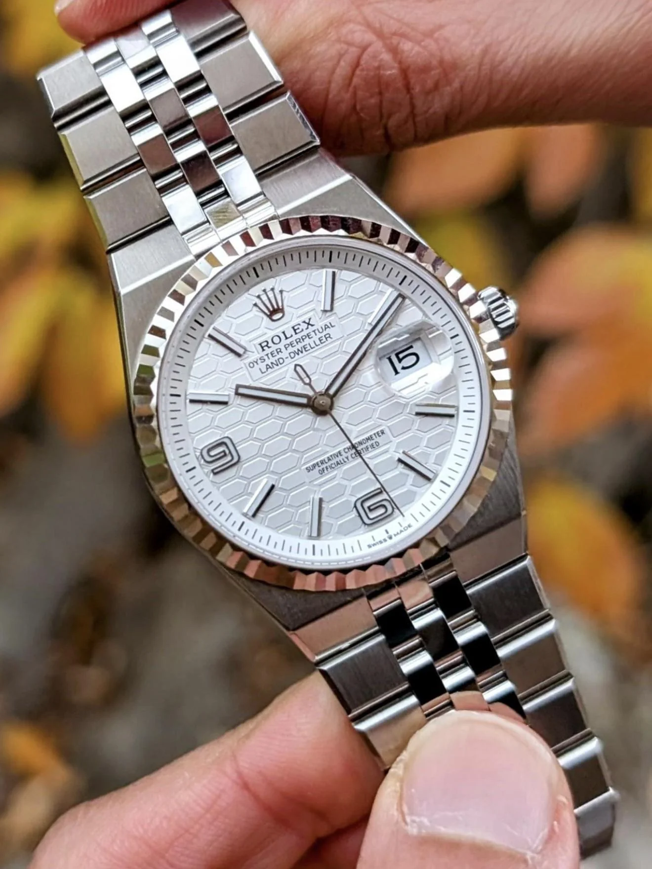 Rolex Land Dweller (5A+)